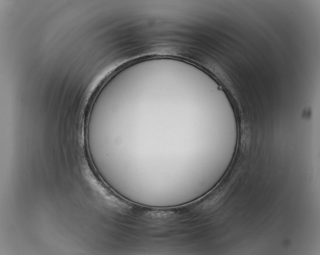 X0000111650939200907311313