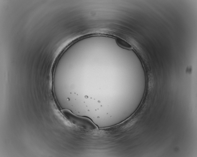 X0000111650940200907311313