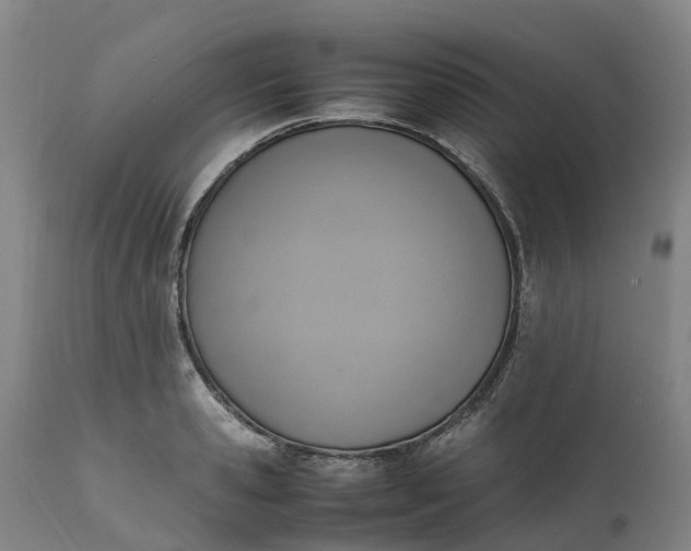 X0000111650941200907311313