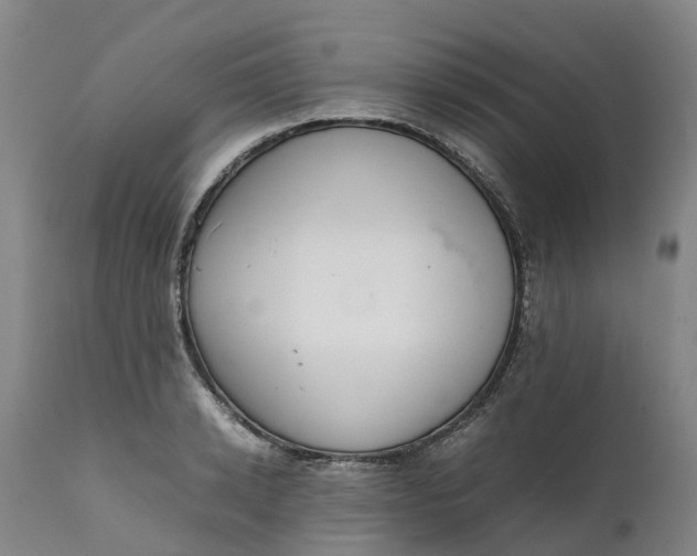 X0000111650942200907311313
