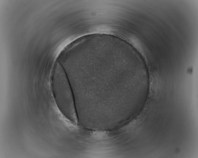 X0000111650944200907311313