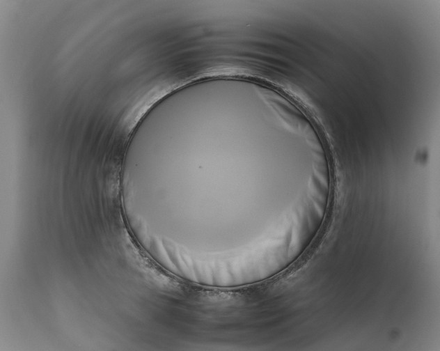 X0000111650945200907311313