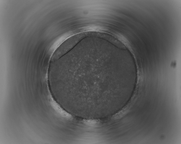 X0000111650946200907311313