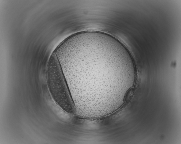 X0000111650948200907311313
