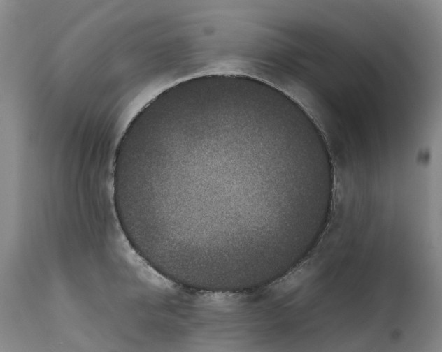 X0000111650950200907311313