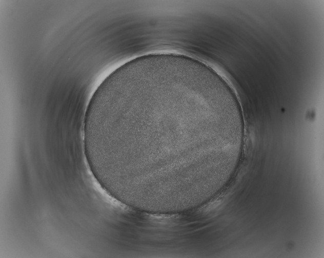 X0000111650951200907311313