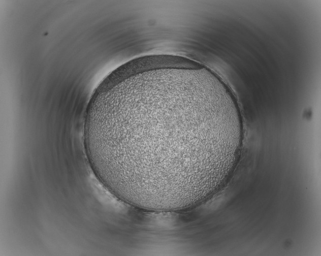 X0000111650952200907311313