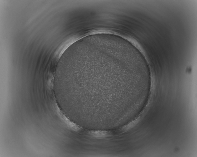 X0000111650953200907311313