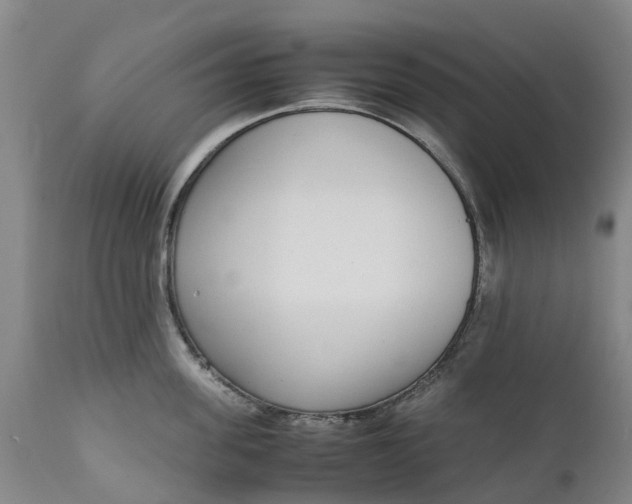 X0000111650955200907311313