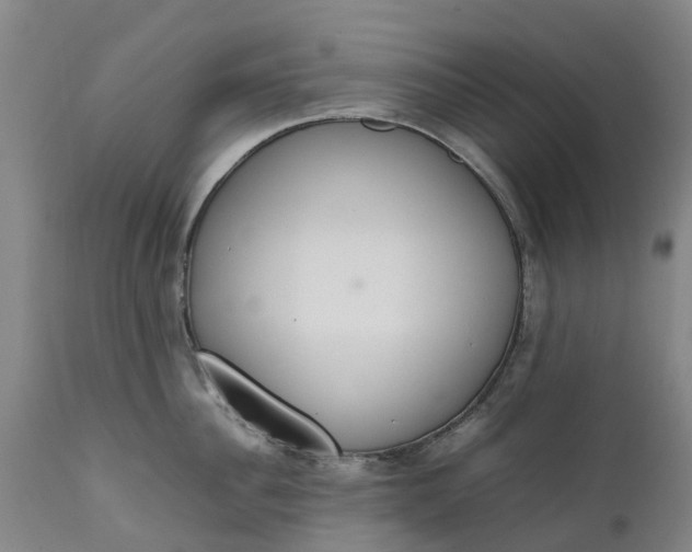 X0000111650956200907311313