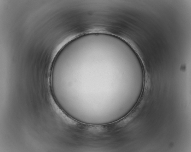 X0000111650957200907311313