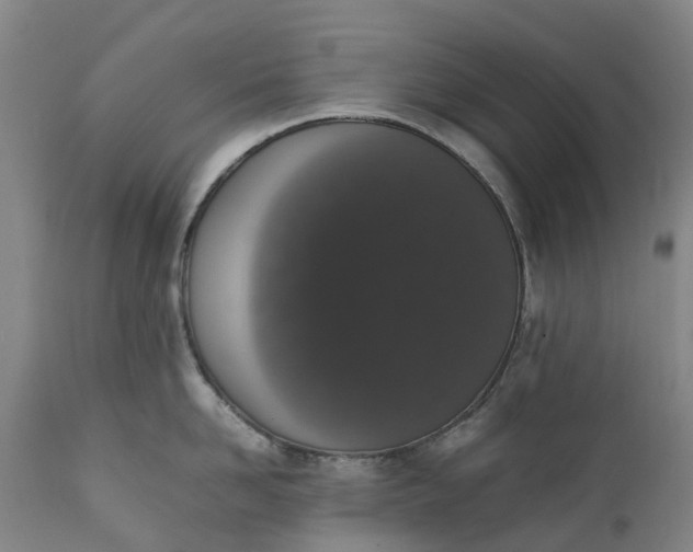 X0000111650958200907311313