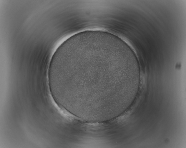 X0000111650959200907311313