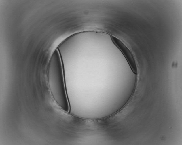 X0000111650960200907311313