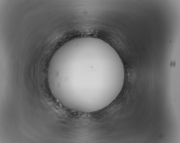 X0000111650961200907311313