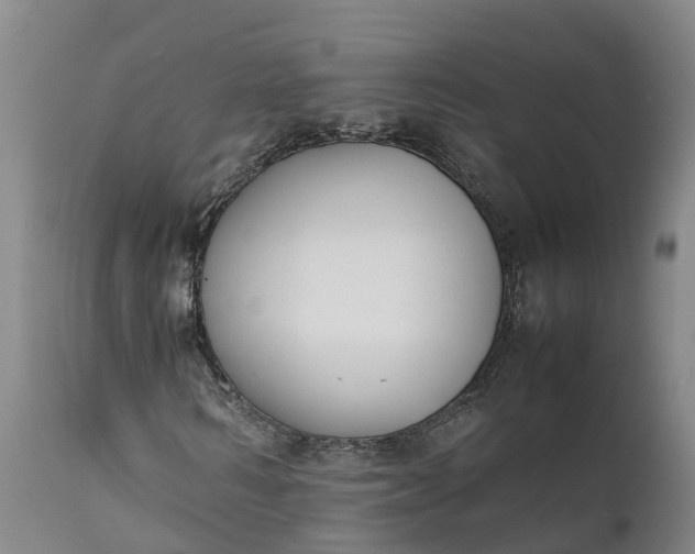 X0000111650962200907311313