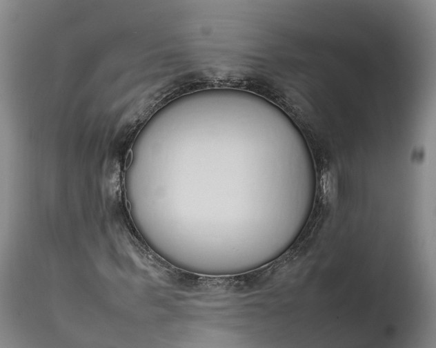 X0000111650963200907311313