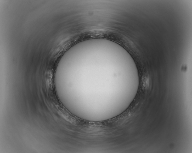 X0000111650964200907311313