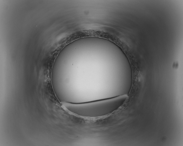 X0000111650965200907311313