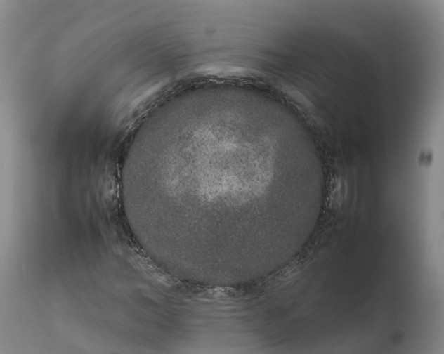 X0000111650966200907311313