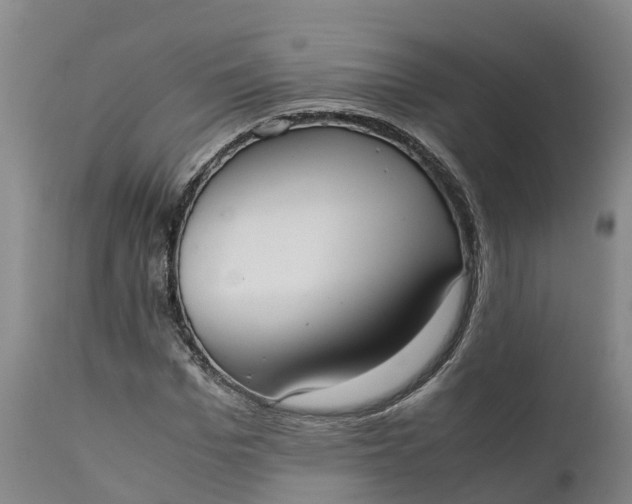 X0000111650969200907311312