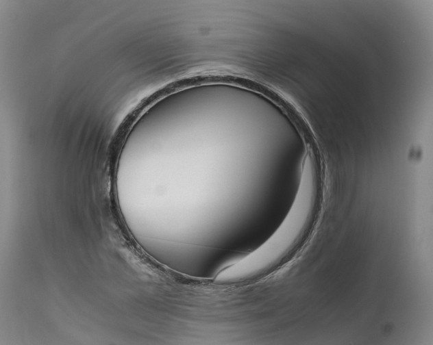 X0000111650973200907311312