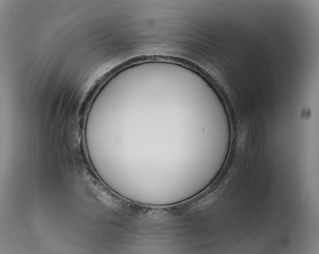 X0000111650974200907311312