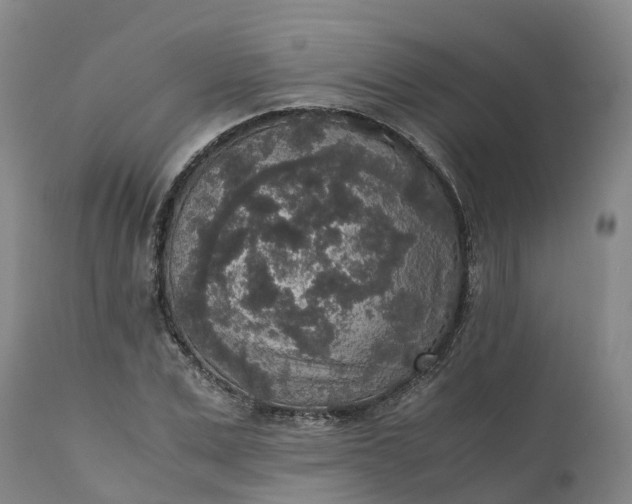 X0000111650975200907311312