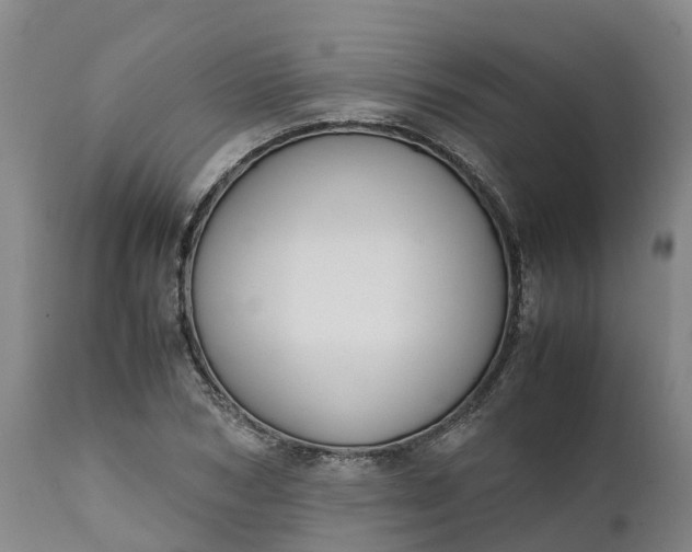X0000111650978200907311312