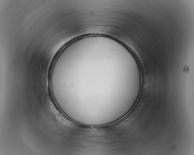 X0000111650980200907311312