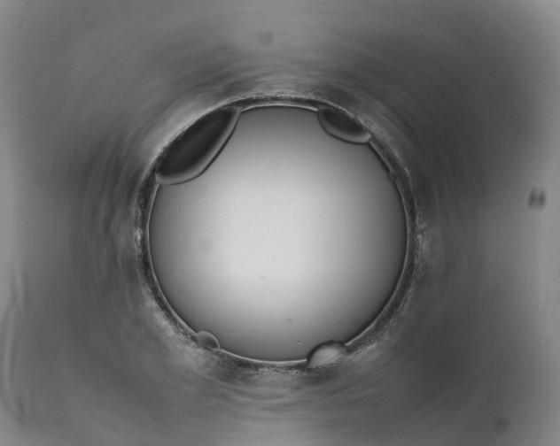 X0000111650981200907311312
