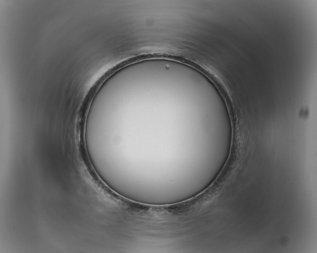 X0000111650983200907311312