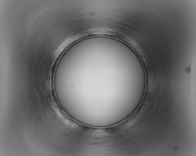 X0000111650986200907311312