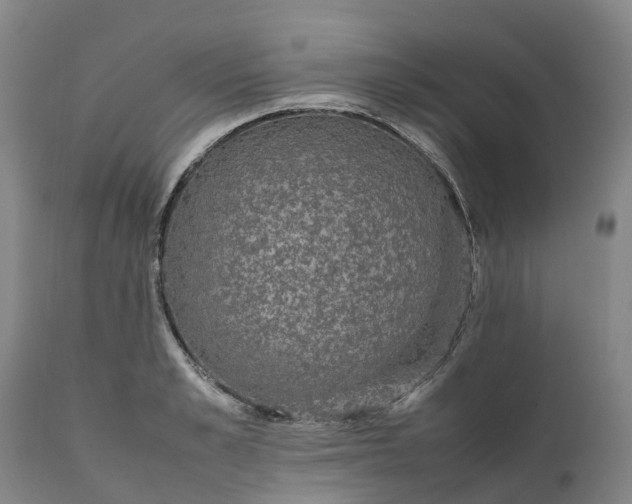 X0000111650989200907311312