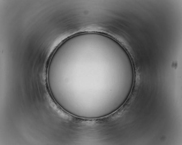 X0000111650990200907311312