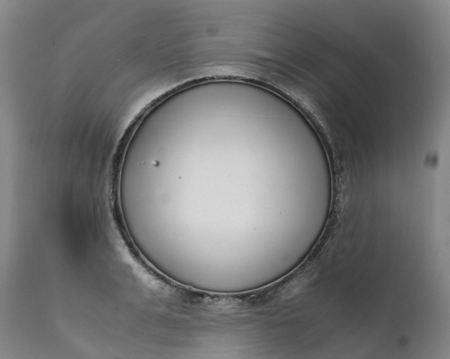 X0000111650991200907311312