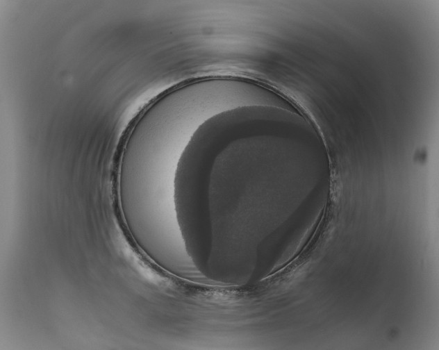 X0000111650995200907311312