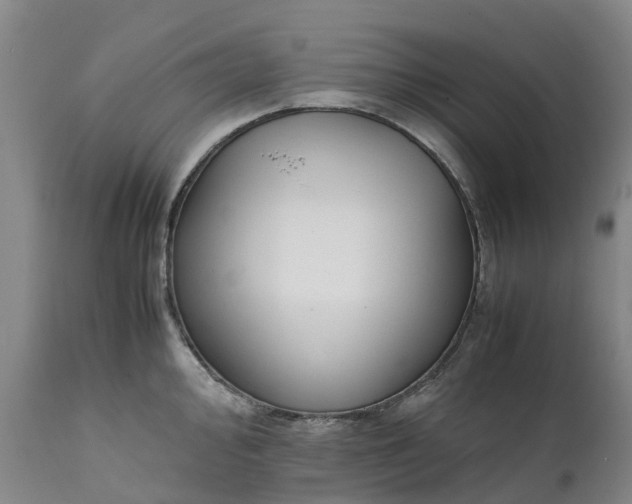 X0000111651000200907311312