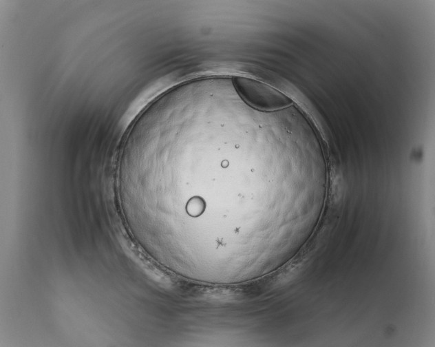 X0000111651002200907311312
