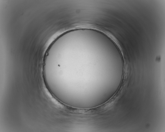 X0000111651005200907311312
