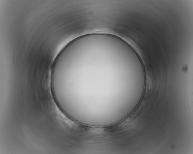 X0000111651006200907311312