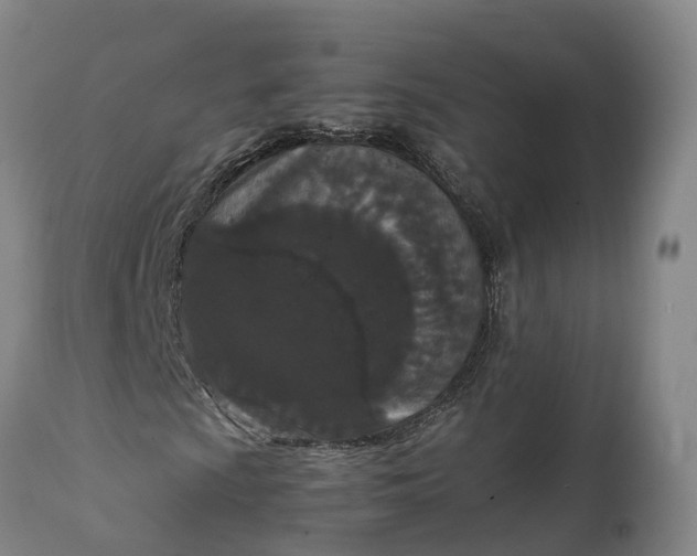 X0000111651009200907311311