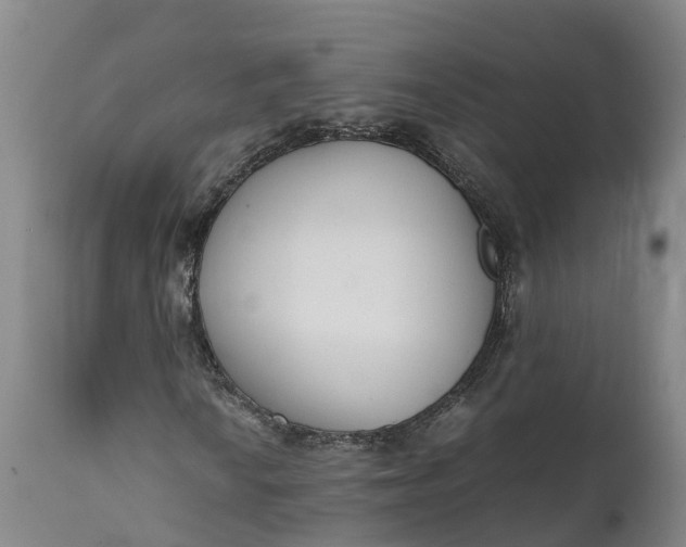 X0000111651010200907311311