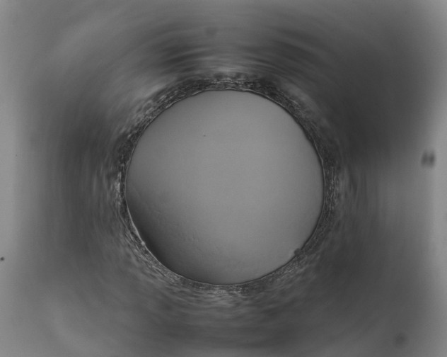 X0000111651013200907311311