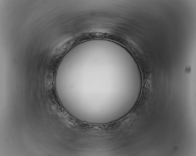 X0000111651014200907311311