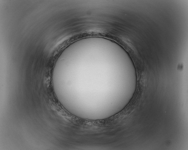 X0000111651015200907311311