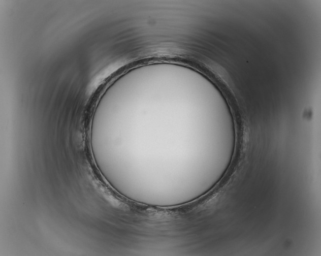 X0000111651018200907311311