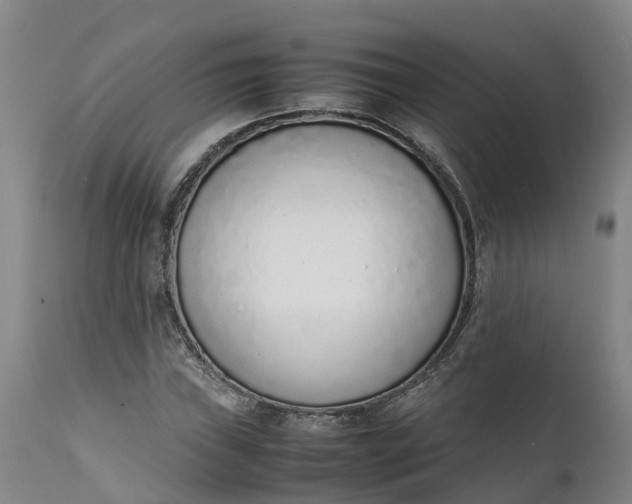 X0000111651019200907311311