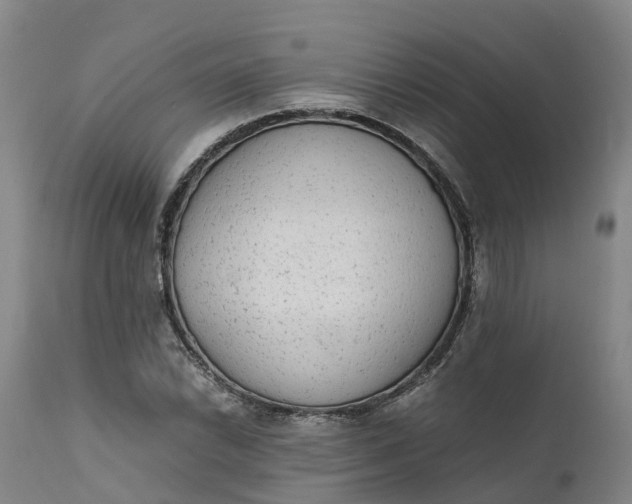 X0000111651022200907311311