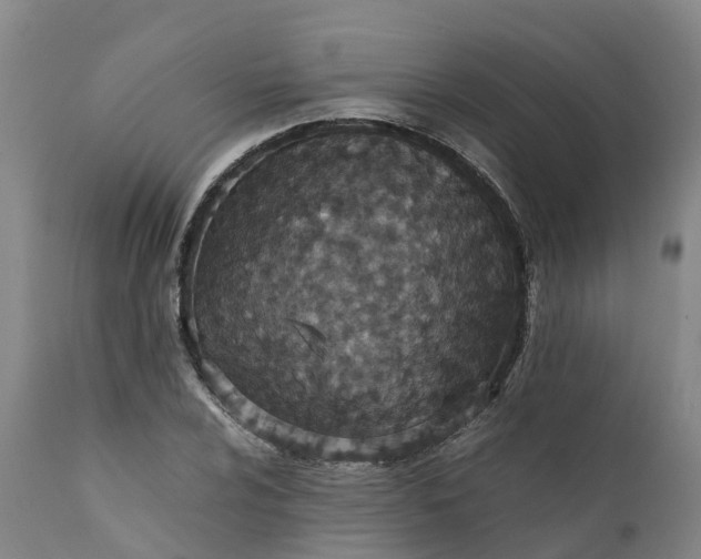 X0000111651024200907311311